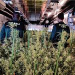Cuatro detenidos por matar a un hombre en Valencina para un "vuelco" de marihuana