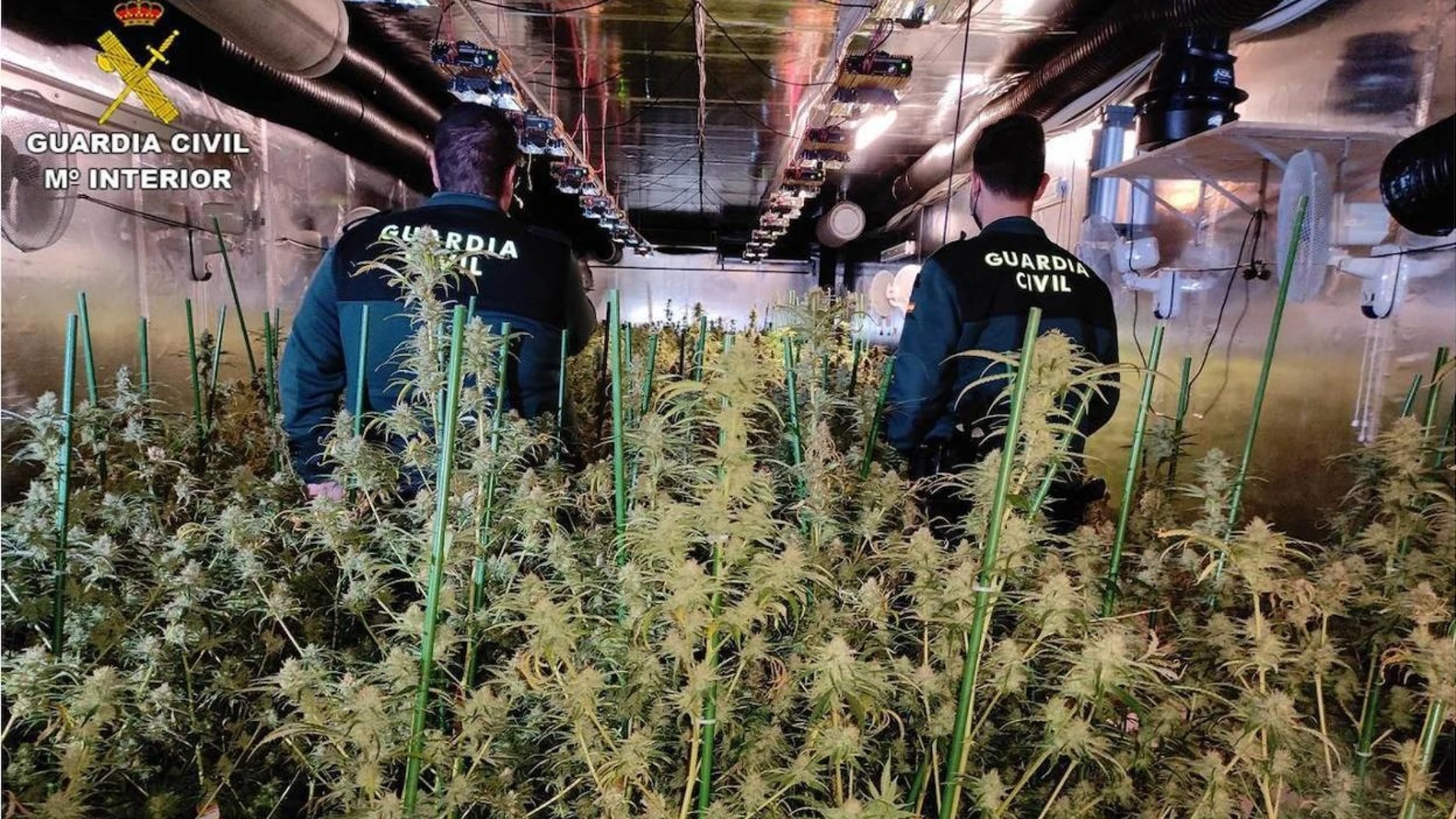 Cuatro detenidos por matar a un hombre en Valencina para un "vuelco" de marihuana