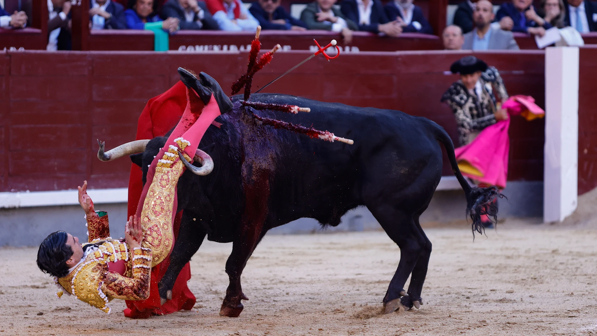 Feria de san Isidro. 23 de Mayo. @Gonzalo Pérez Mata
