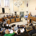 Imagen del pleno extraordinario de la Diputación de Alicante de hoy