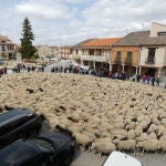 Fiesta de la trashumancia en Aguilafuente