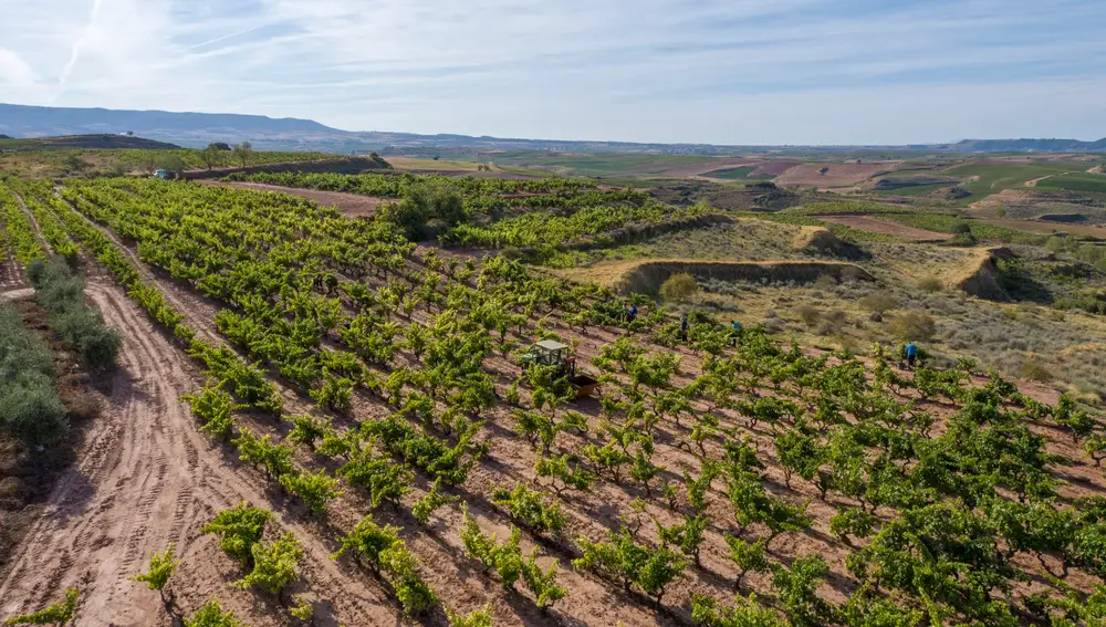 Finca Malacara