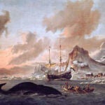 Prohibido matar vascos en Islandia