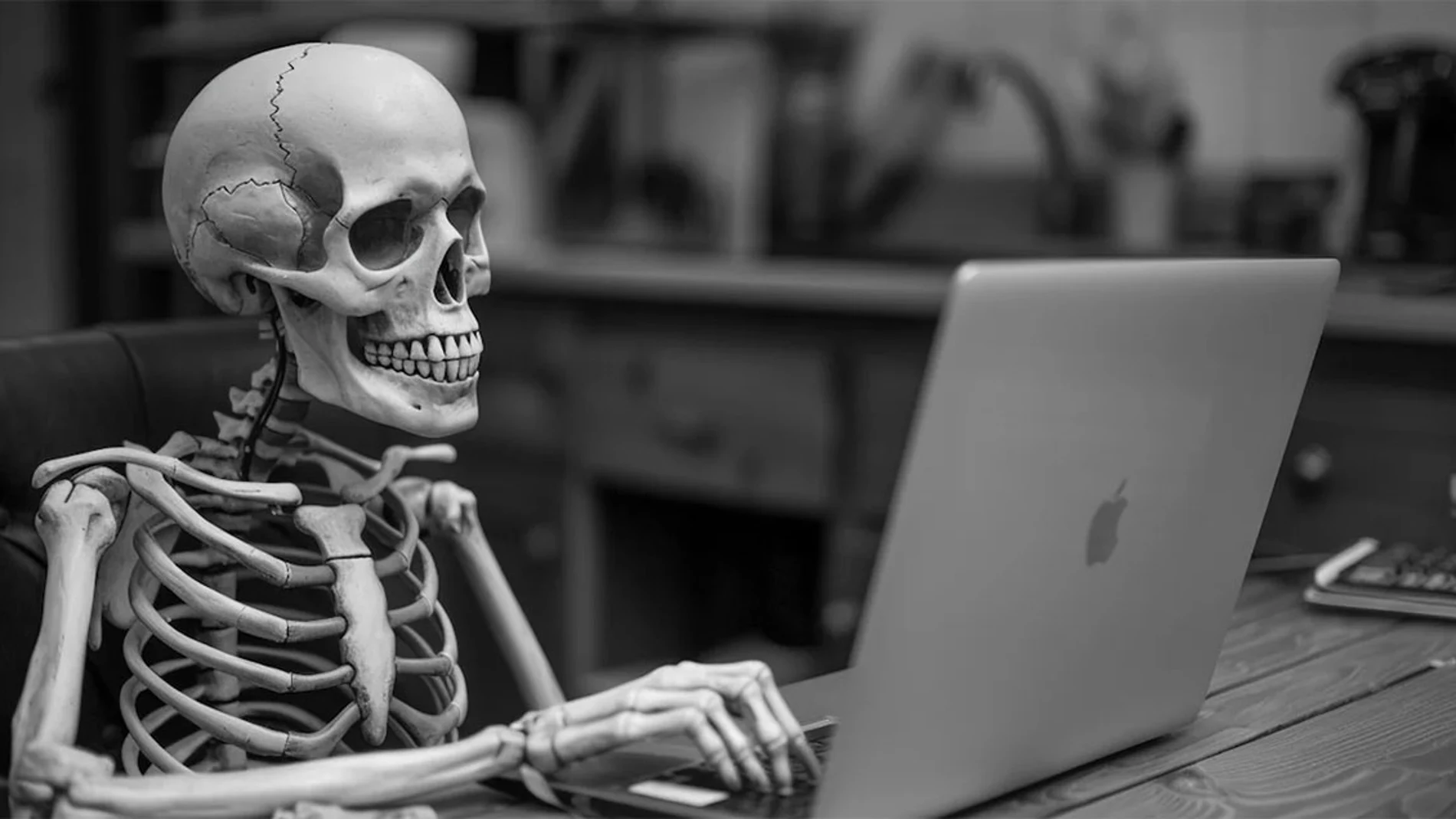Esto es lo que sucederá con tu biblioteca de videojuegos en Steam después de tu muerte