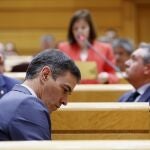 Sesion de control al Gobierno en el Senado. El presidente del Gobierno, Pedro Sanchez.