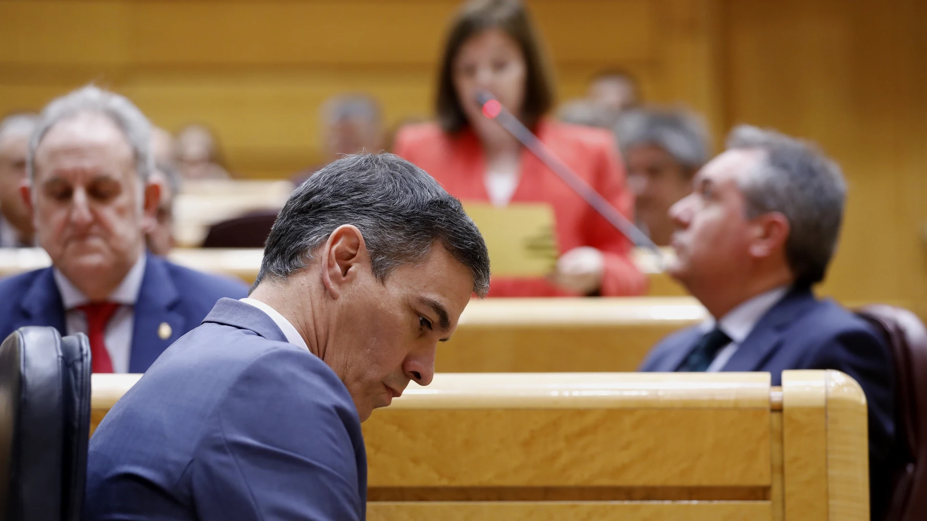Sesion de control al Gobierno en el Senado. El presidente del Gobierno, Pedro Sanchez.