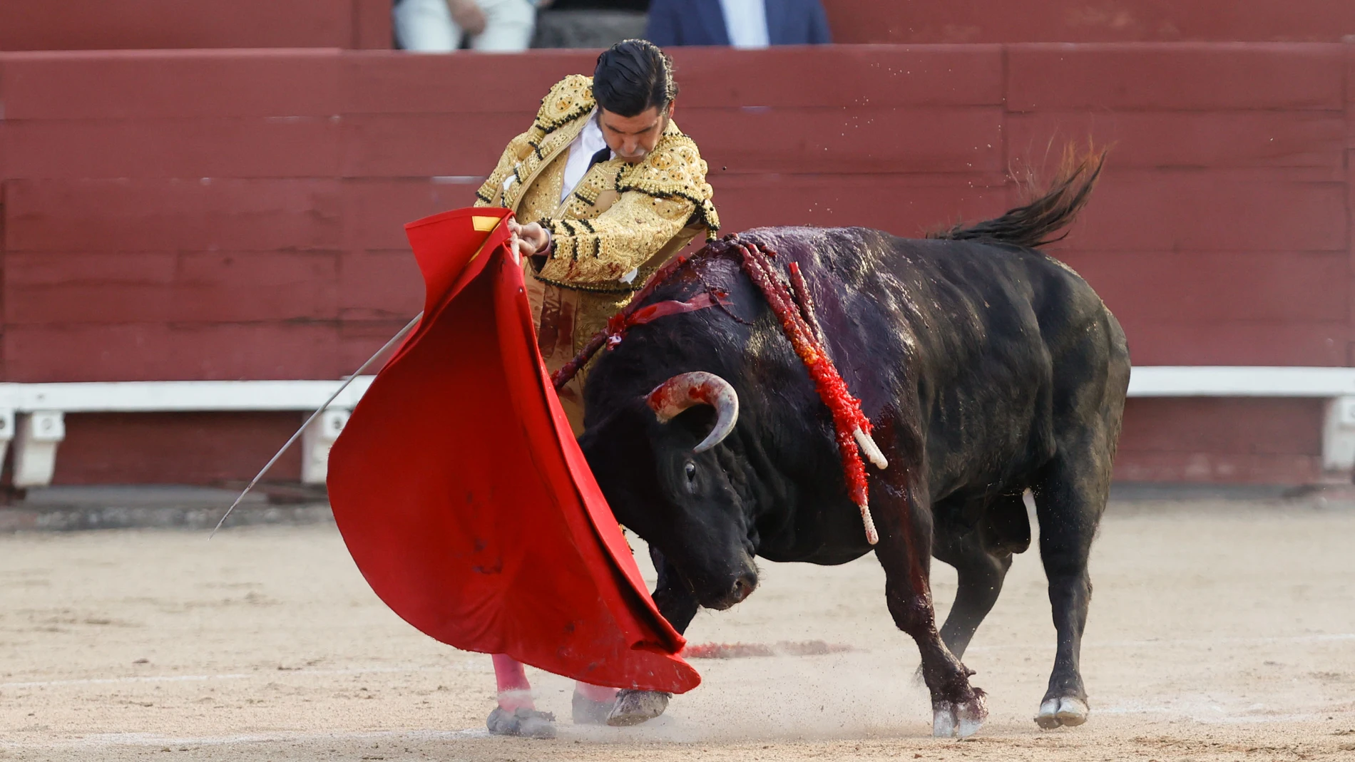 TOLEDO, 30/05/2024.- El diestro Morante de la Puebla torea al primero de su lote este jueves, durante el festejo taurino del Corpus celebrado en la Plaza de Toros de Toledo, con toros de Juan Pedro Domecq para los diestros Morante de la Puebla, Roca Rey y Tomás Rulfo. EFE/ Ismael Herrero