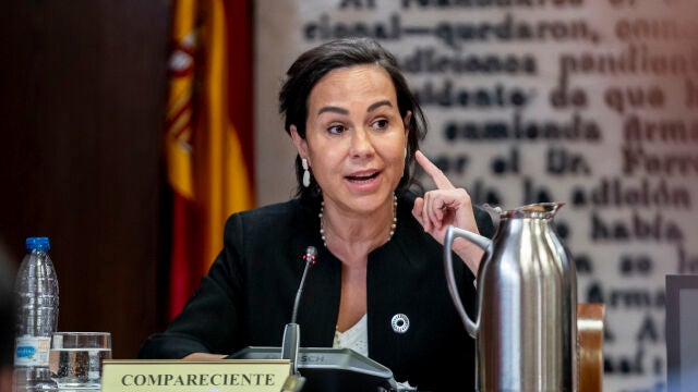 Isabel Pardo de Vera comparece ante la Comisión de Investigación sobre el ‘caso Koldo’ en el Senado