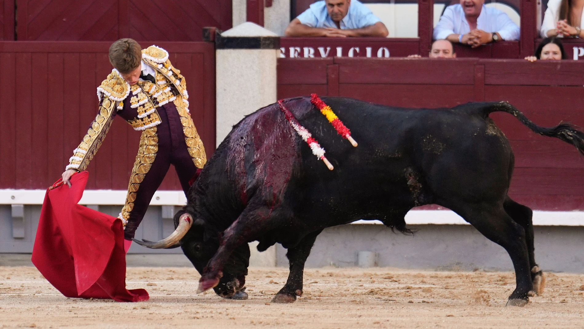 MADRID, 31/05/2024.- El diestro Borja Jiménez a su faena al primera de su lote durante la corrida celebrada hoy viernes en la plaza de toros de Las Ventas incluida en la Feria de San Isidro. EFE / Borja Sánchez-Trillo.