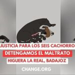 Cinco cachorros brutalmente asesinados