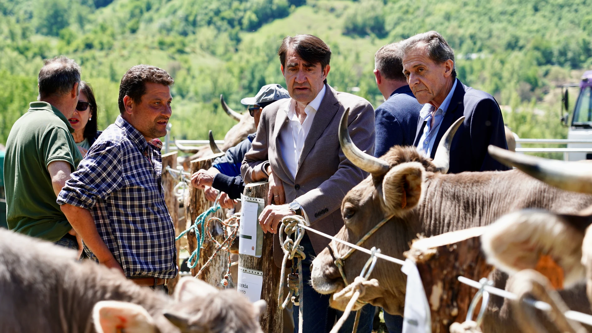 Suárez-Quiñones en la Feria ganadera de Crémenes