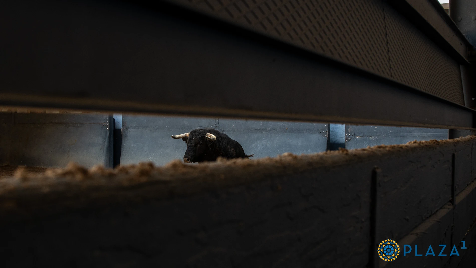 Estos son los toros de Los Espartales para la corrida de rejones de esta tarde