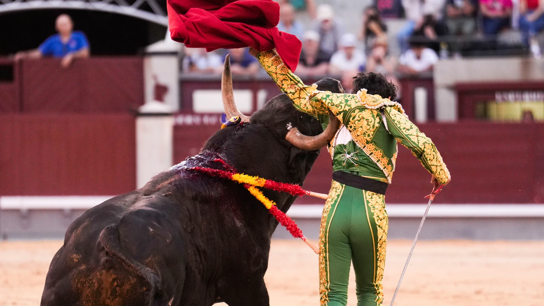 MADRID, 02/06/2024.- El diestro mexicano Isaac Fonseca recibe una cornada durante la corrida de la Feria de San Isidro celebrada hoy Domingo en la plaza de toros de Las Ventas, en Madrid. EFE / Borja Sánchez-Trillo.