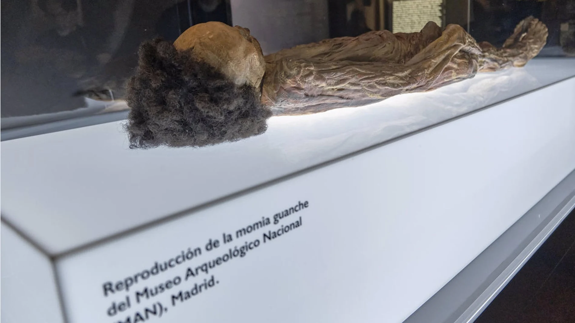 CANARIAS.-Cabildo y Secretaría de Estado de Cultura negocian la próxima semana el traslado de la momia guanche a Tenerife