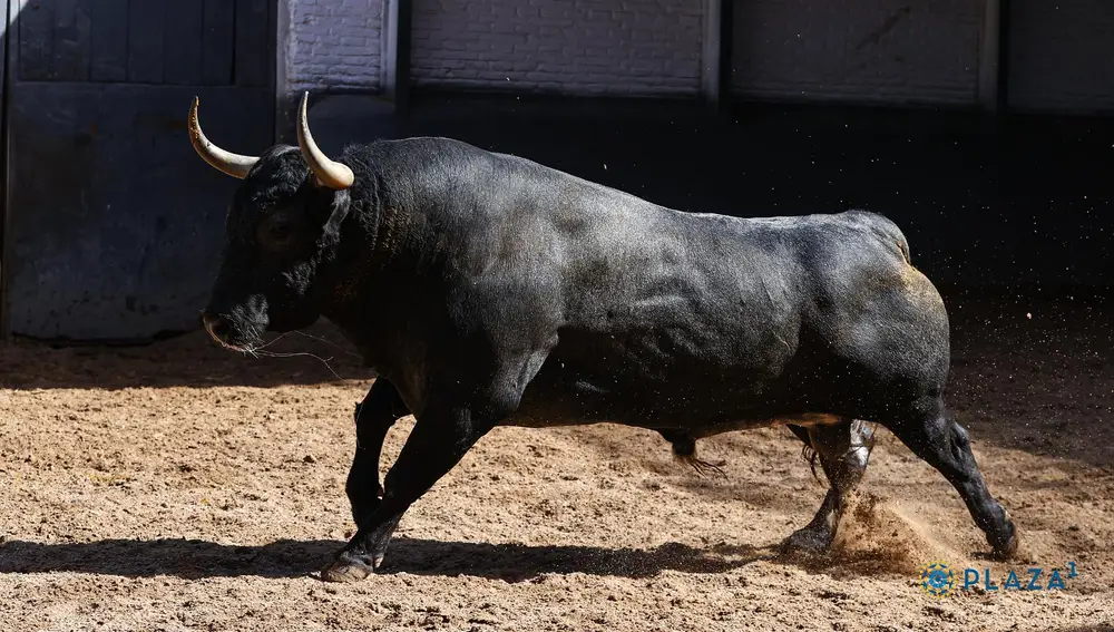 4º, "Malagueño", nº 93