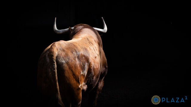 Estos son los serios toros de Garcigrande y El Pilar para la Corrida de Beneficencia
