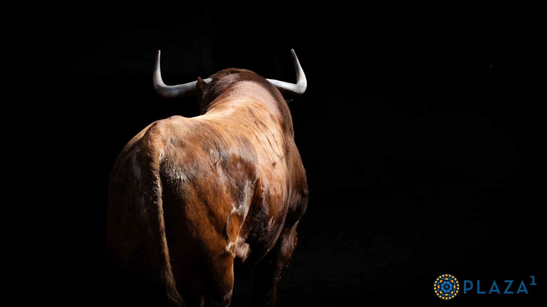 Estos son los serios toros de Garcigrande y El Pilar para la Corrida de Beneficencia