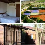 La casa de madera de Carlos Alcaraz