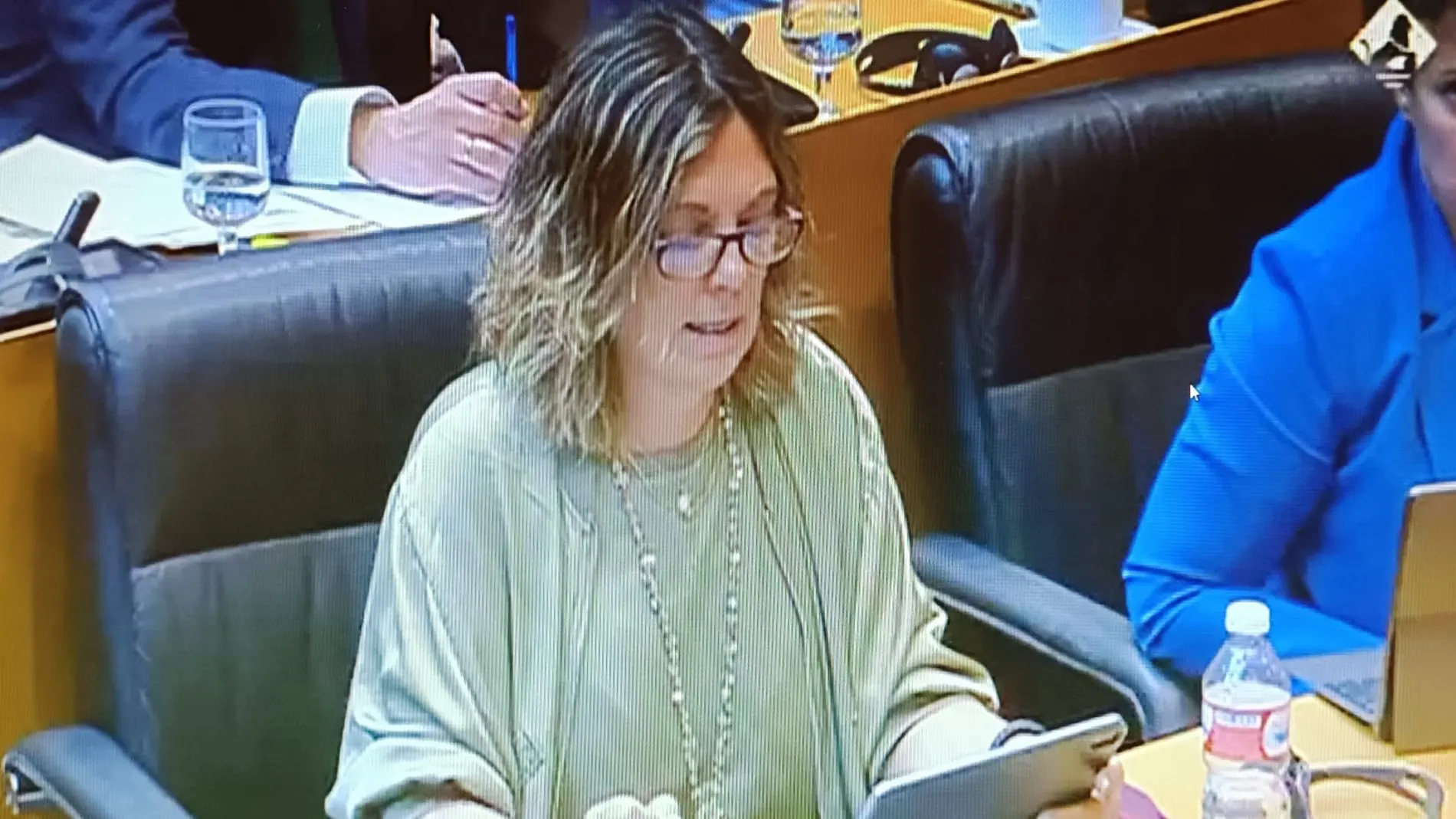 Mila Marcos durante su participación en la Comisión Mixta para la coordinación y seguimiento de la Estrategia Española