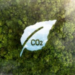 ¿Qué son los mercados de carbono y qué papel juegan en la transición energética?