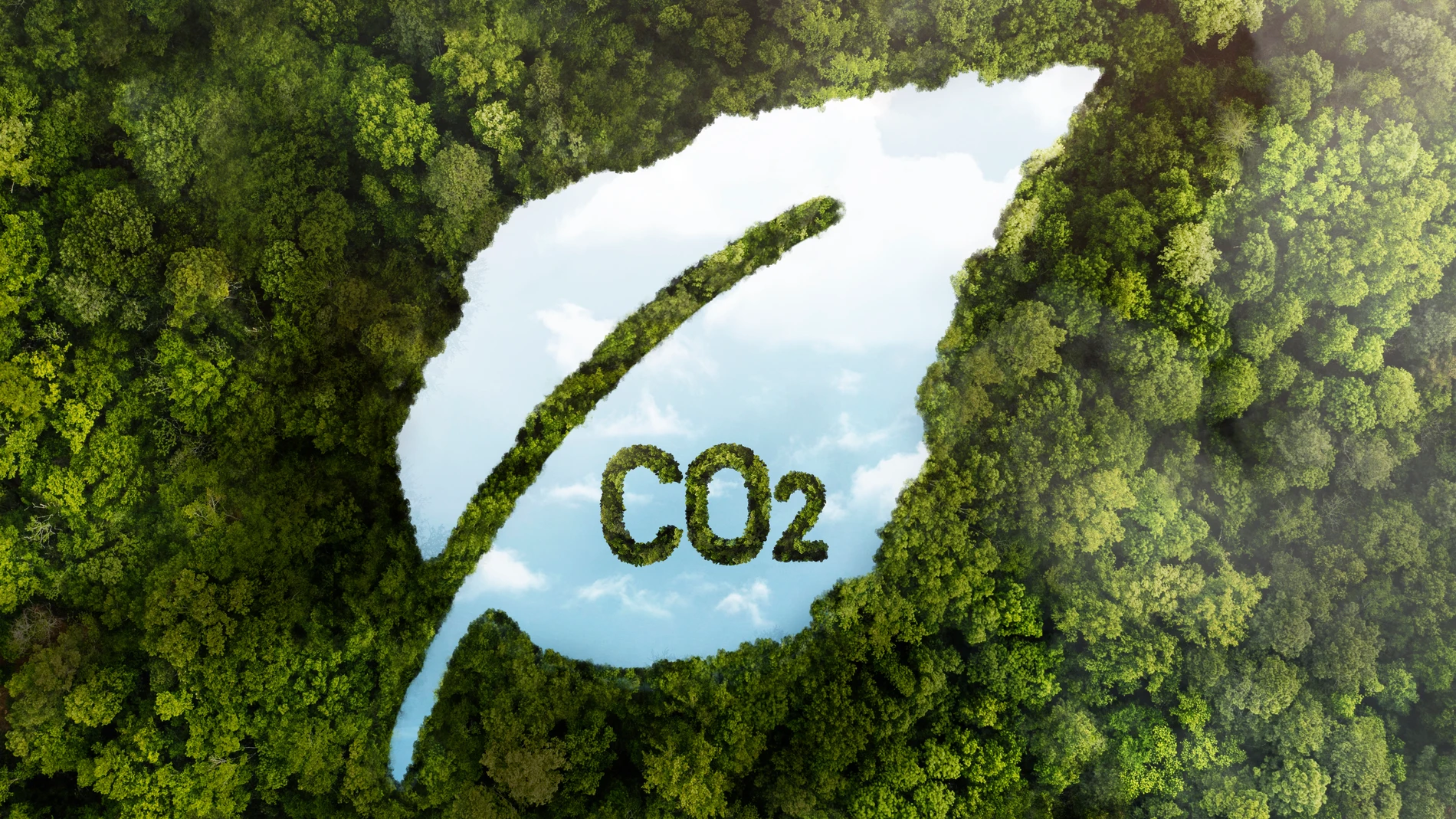 ¿Qué son los mercados de carbono y qué papel juegan en la transición energética?