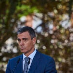 El presidente del Gobierno, Pedro Sánchez