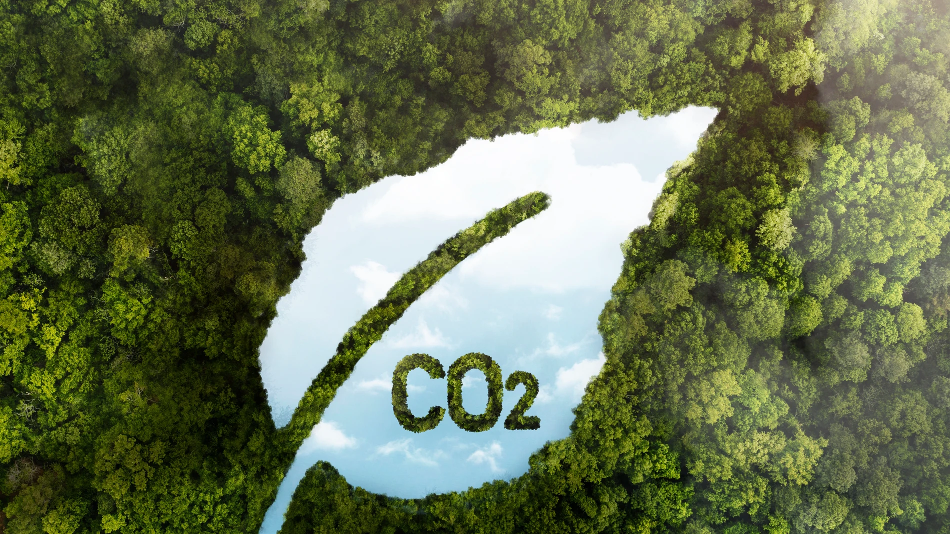 Mercado de carbono. Emisiones. CO2. Bosques