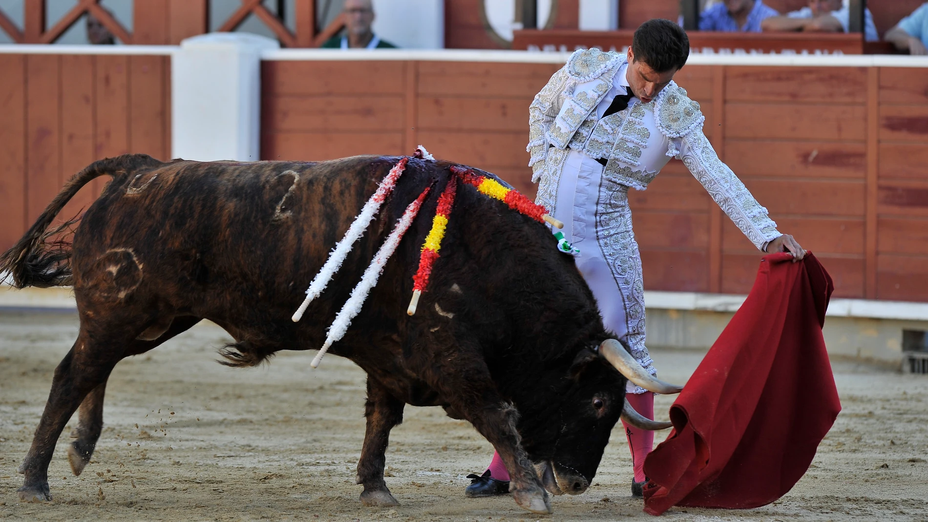 ALBACETE, 16/06/2024.- El diestro Rubén Pinar en la tradicional corrida benéfica de Asprona, hoy domingo en Albacete. EFE/Manu