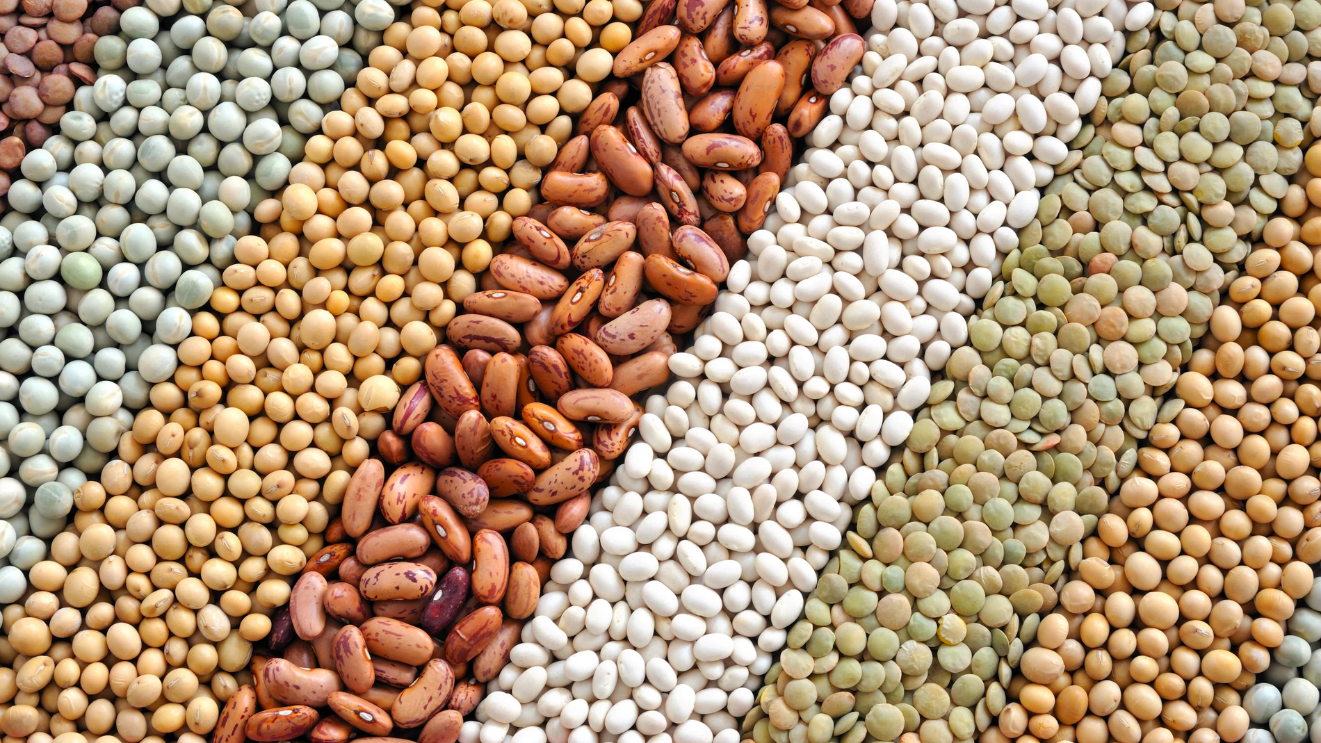 Algunos de los alimentos que consumimos a diario son considerados "superalimentos" por la cantidad de nutrientes y beneficios para la salud que tienen
