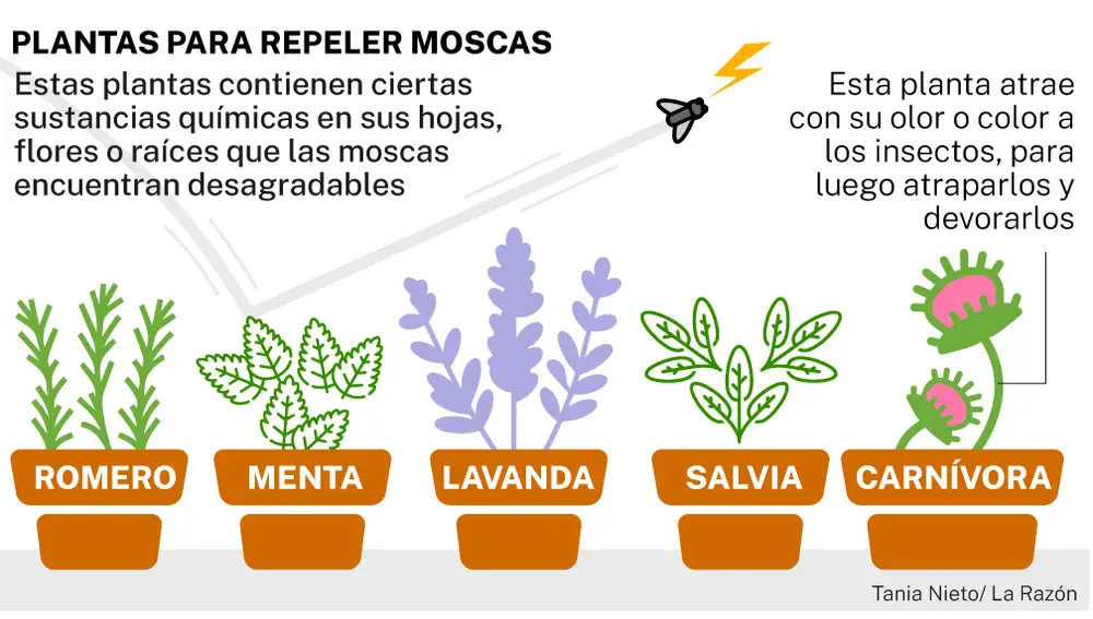 Repelentes naturales
