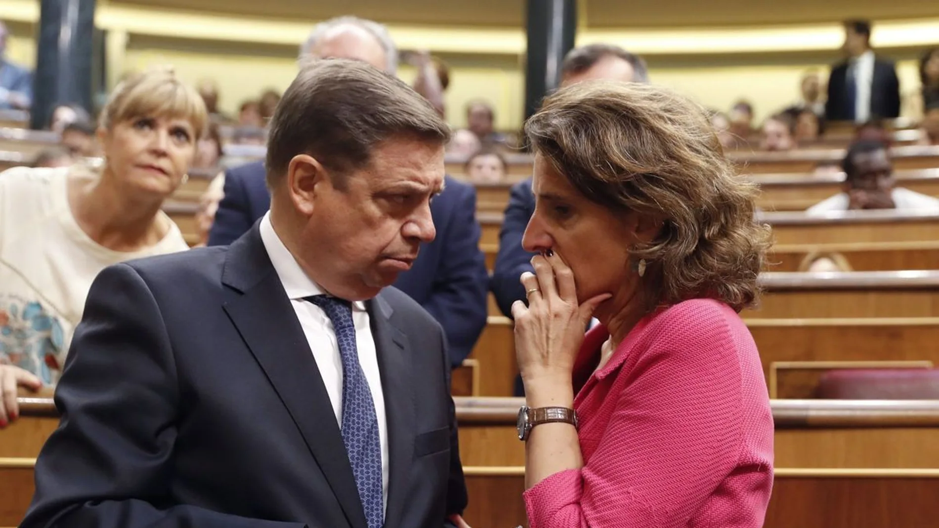 Teresa Ribera y Luis Planas, durante un pleno del Congreso de los Diputados.