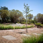 Abre en Málaga el primer cementerio de mascotas público de España
