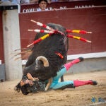 ¿Quienes fueron los toreros heridos el pasado fin de semana taurino?