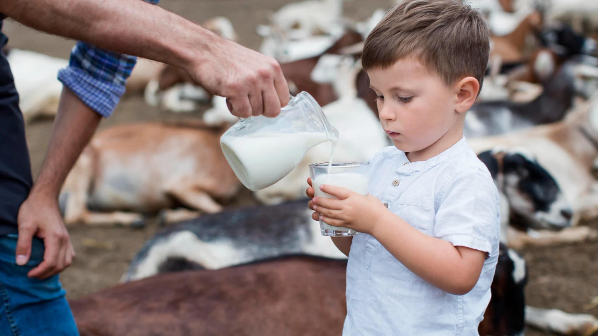 Leche de vaca
