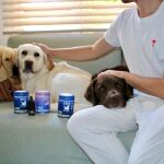 ¿Mi mascota necesita probióticos o postbióticos? Los veterinarios se vuelcan con la salud de la microbiota