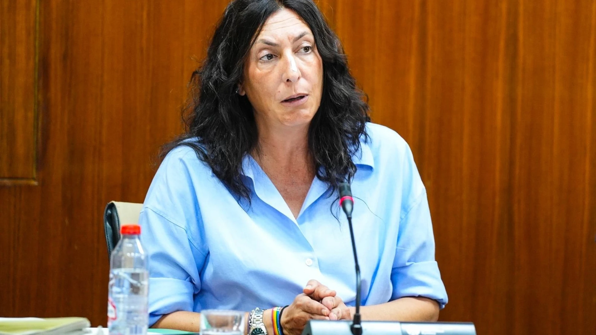 La consejera de Inclusión Social, Loles López, este jueves durante su comparecencia parlamentaria en comisión. JOAQUÍN CORCHERO/PARLAMENTO DE A 04/07/2024