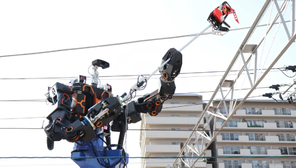 El robot de 12 metros, trabajando.