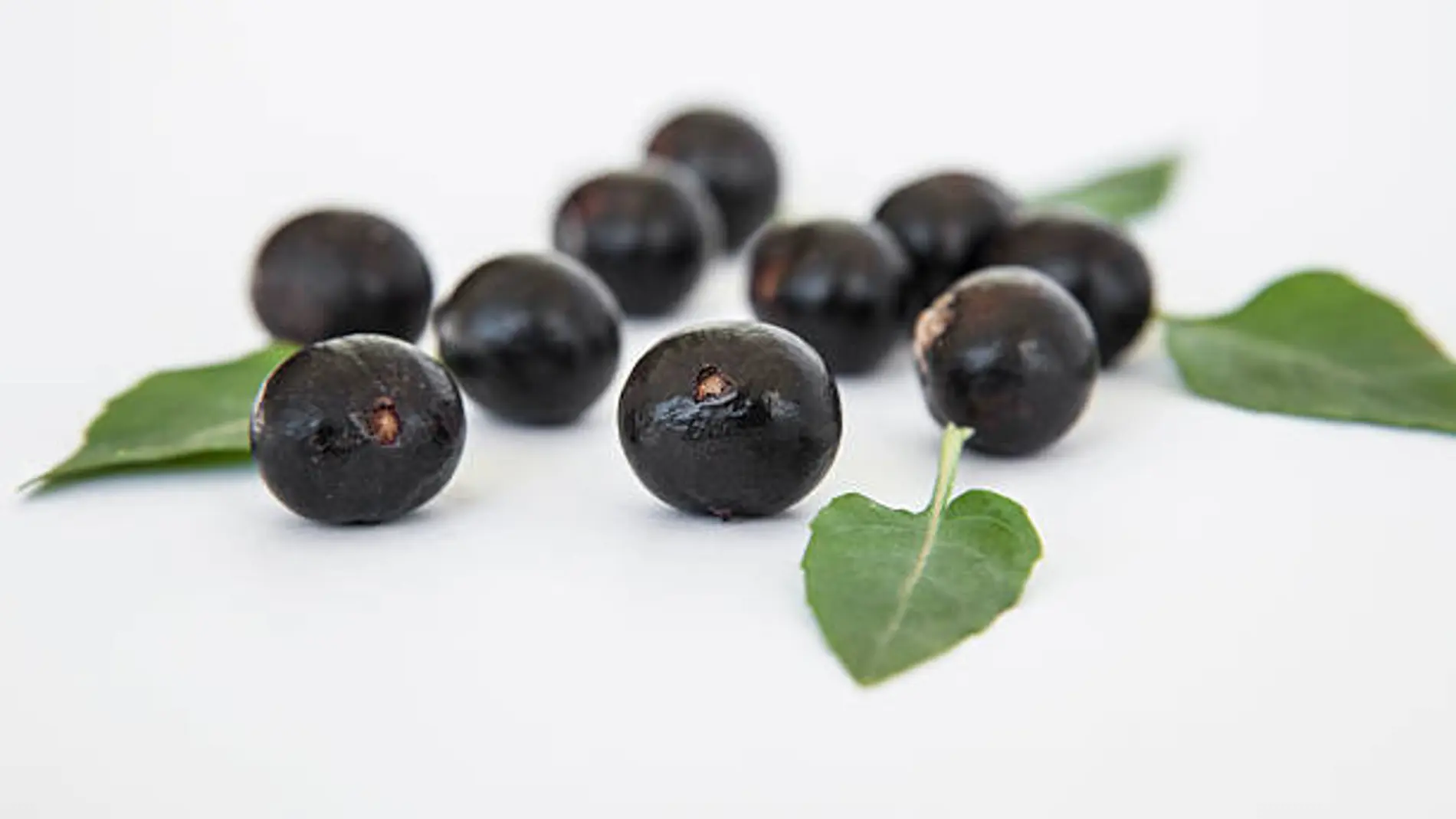 Bayas acai