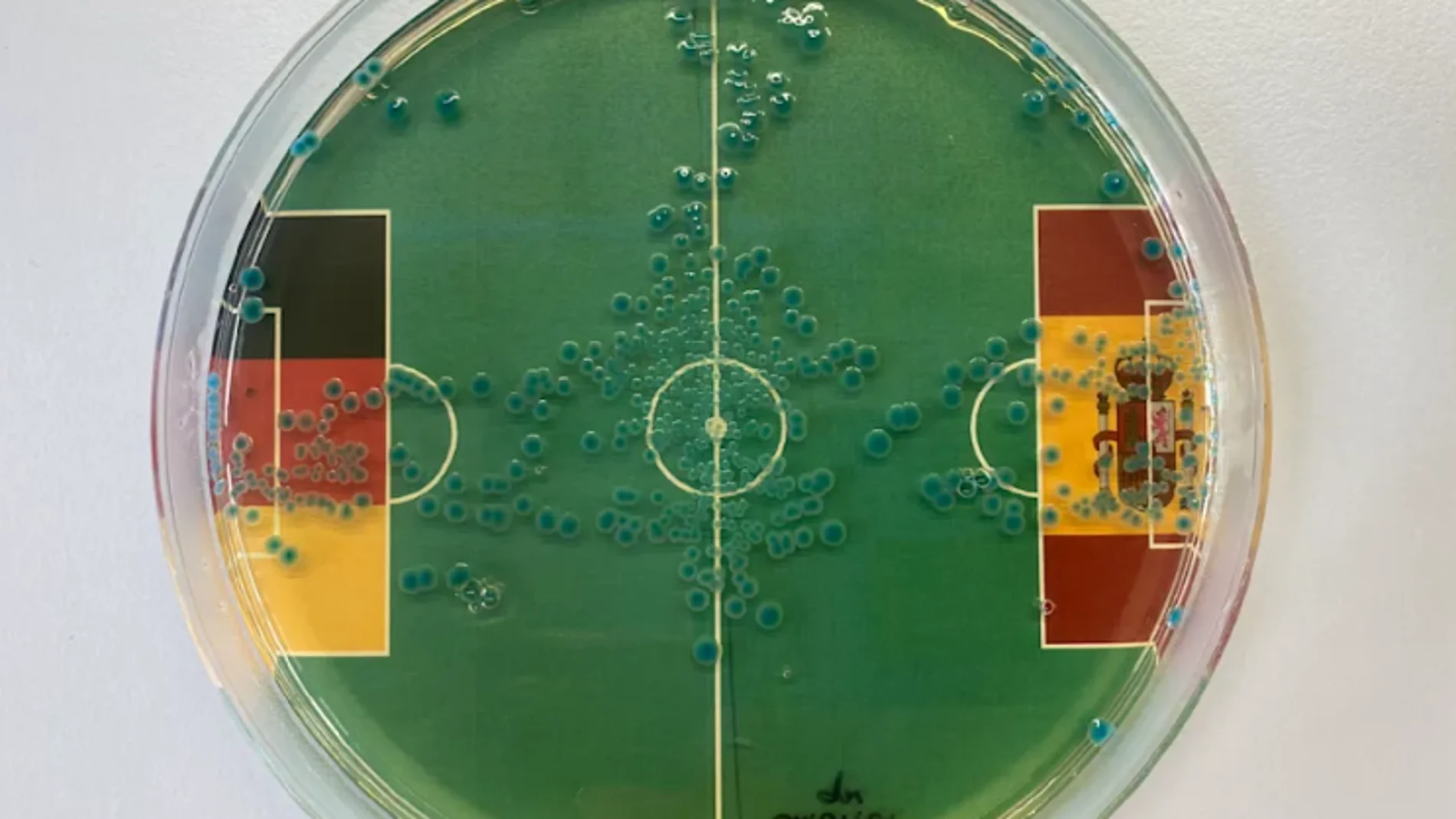Las bacterias intestinales también predicen el resultado del España-Alemania: ¿Quién pasa a semifinales?