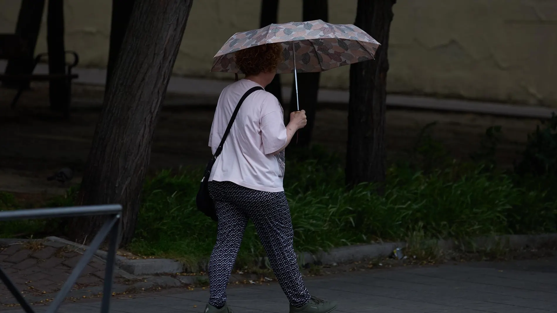Las lluvias y tormentas ponen en aviso a distintas zonas de Castilla y León
