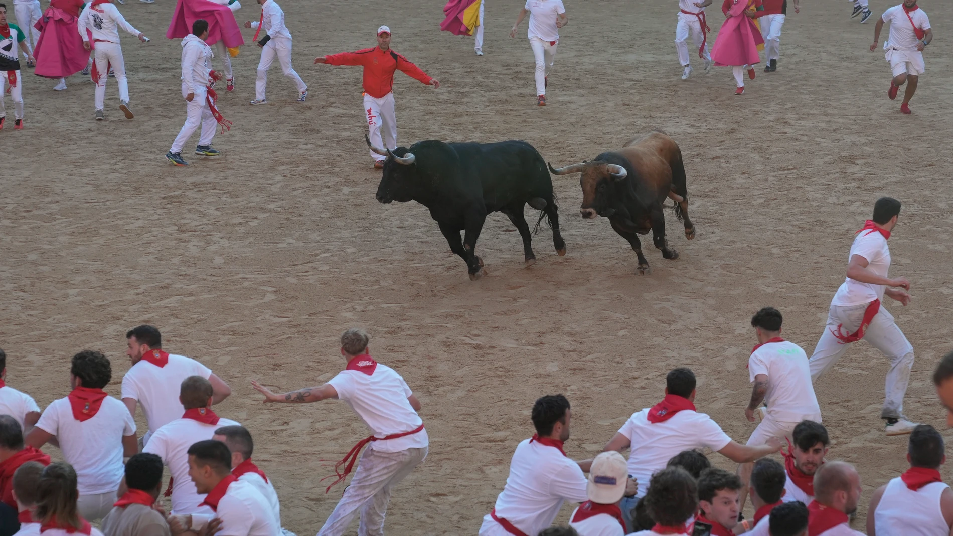PAMPLONA, 07/07/2024.- Los toros de la ganadería La Palmosilla llegan a la plaza de toros en el primer encierro de los Sanfermines este domingo en el Día de San Fermín, copatrón de Pamplona, ciudad que celebra los Sanfermines, Fiesta de Interés Turístico Internacional, hasta el próximo 14 de julio.EFE/ Sergio Martín