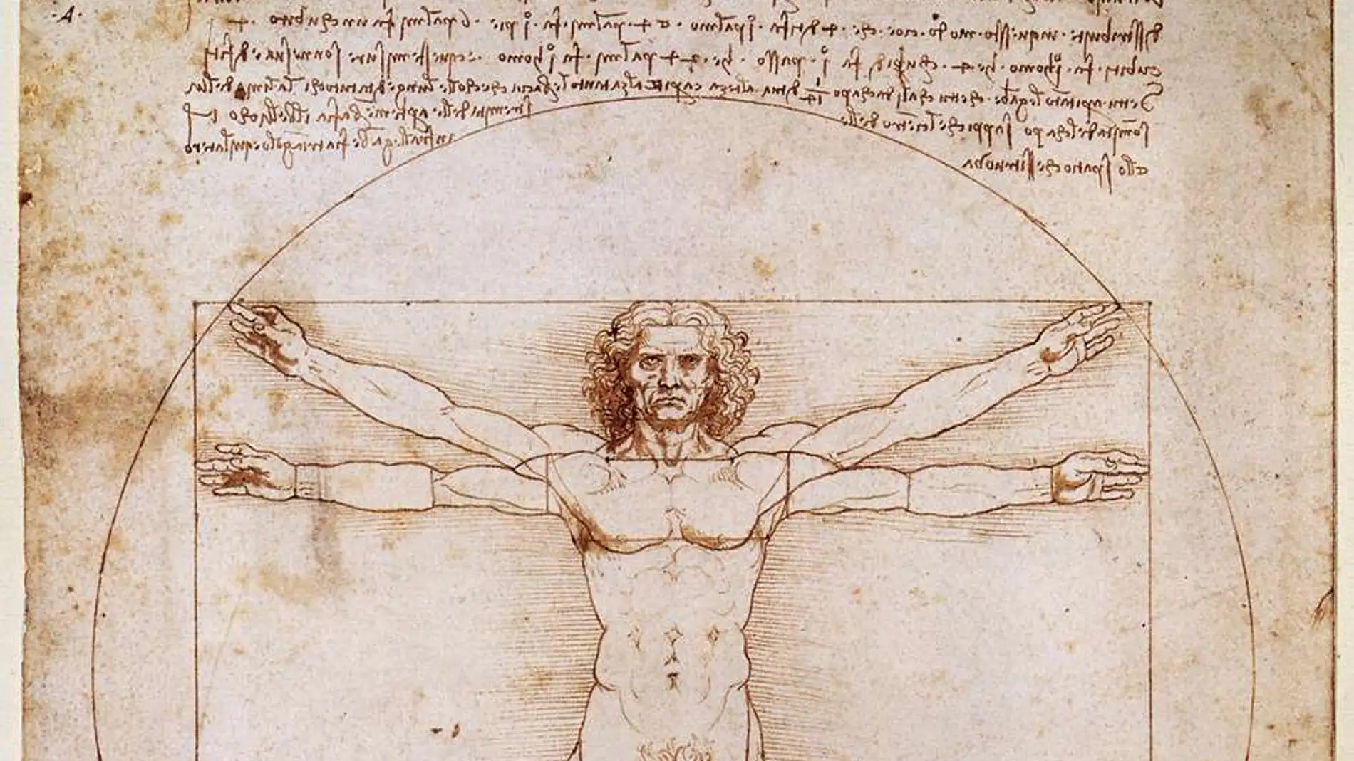 El hombre de Vitruvio, La Divina Proporción