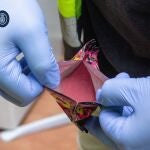 Durante el registro de dicho inmueble se intervino casi 60 gramos de esta droga, catalogada como muy perjudicial para la salud