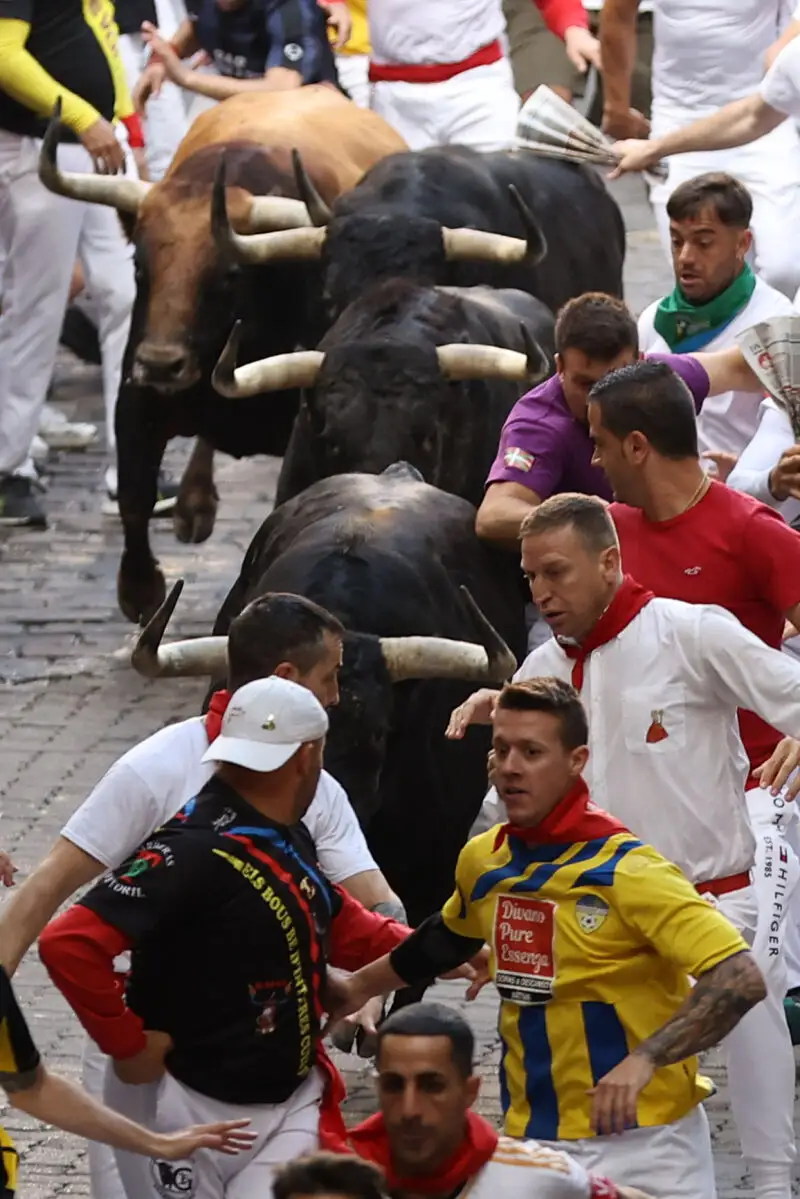Los veloces Fuente Ymbro, en el cuarto encierro de los Sanfermines 2024