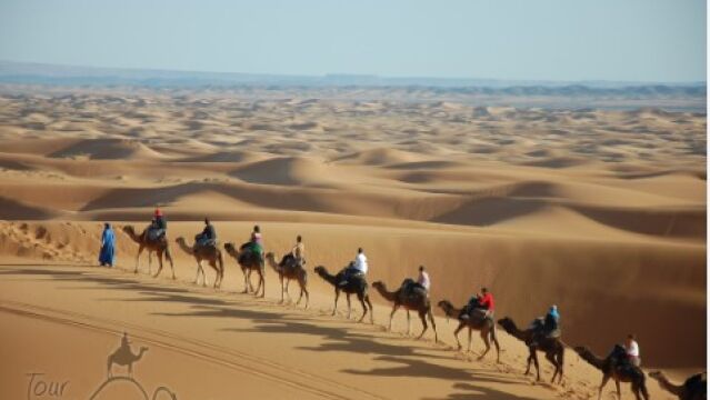 Caravana de camellos en Marruecos