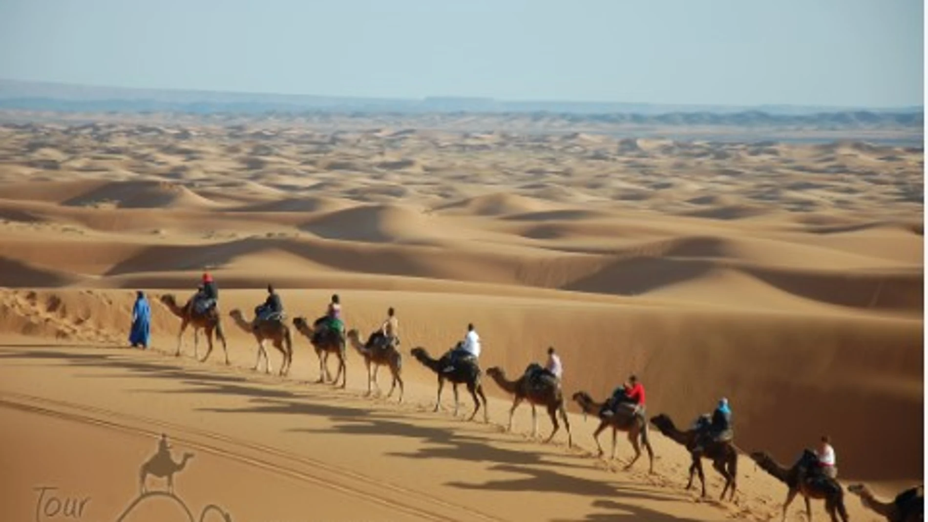 Caravana de camellos en Marruecos