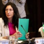 La Junta asume 30 menores migrantes y acusa al Gobierno de enviar a Andalucía otros 454 "camuflados como adultos"