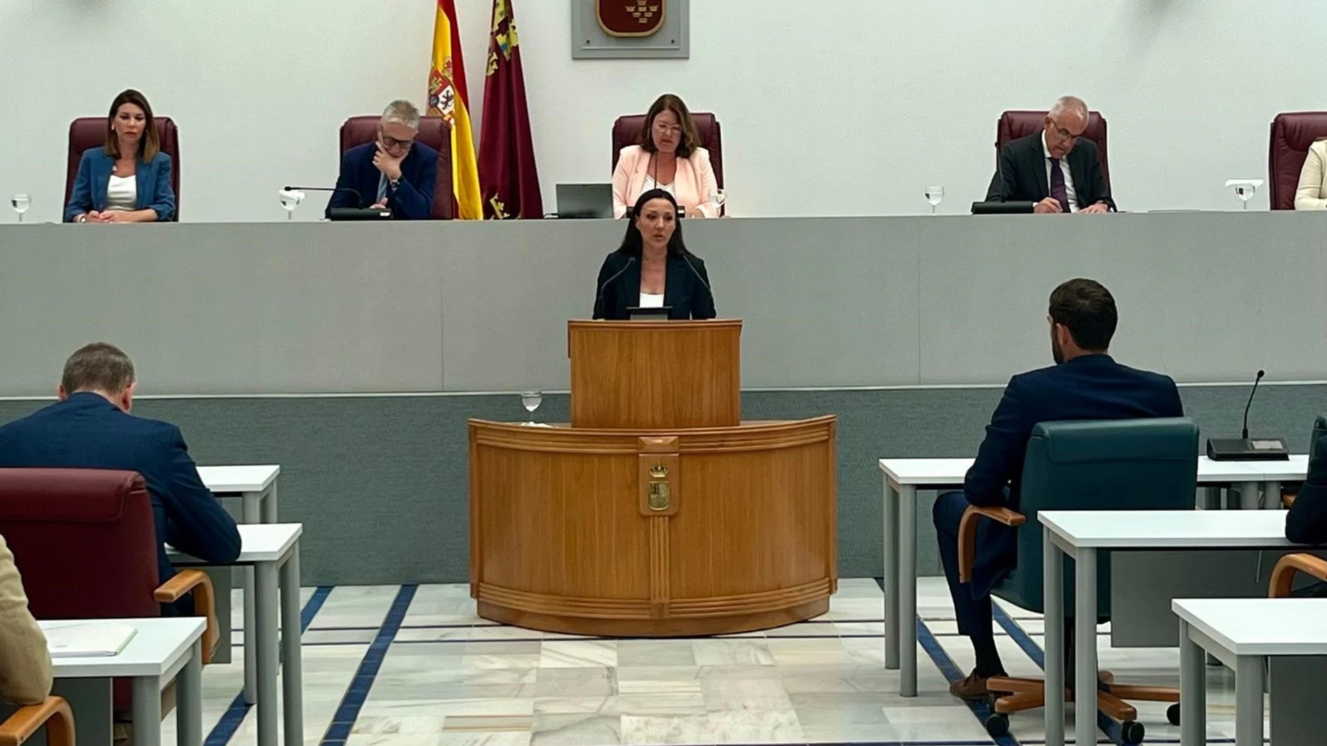 La consejera de Turismo, Cultura, Juventud y Deportes, Carmen María Conesa, durante su comparecencia en la Asamblea GOBIERNO REGIONAL 10/07/2024