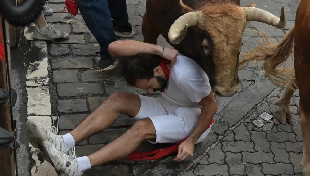 Los toros de Domingo Hernández en el quinto encierro de los Sanfermines
