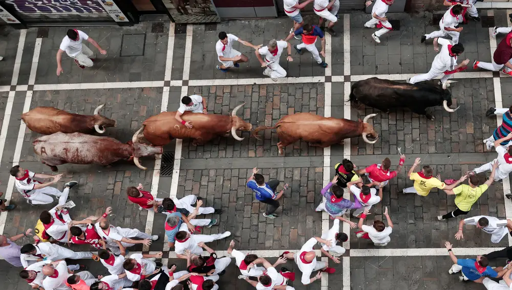 Los toros de Domingo Hernández en el quinto encierro de los Sanfermines